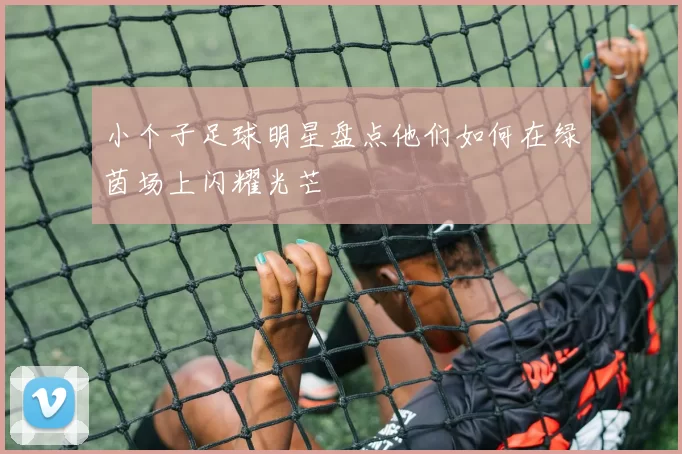 小个子足球明星盘点他们如何在绿茵场上闪耀光芒