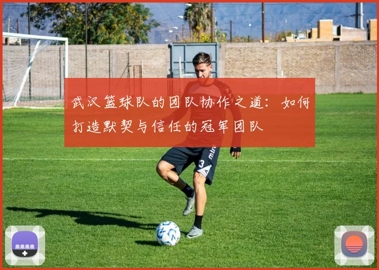 武汉篮球队的团队协作之道：如何打造默契与信任的冠军团队