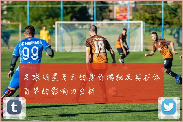 足球明星马云的身价揭秘及其在体育界的影响力分析