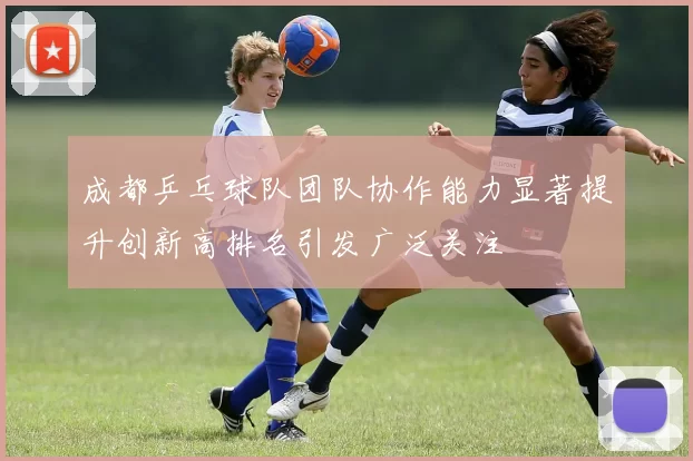 成都乒乓球队团队协作能力显著提升创新高排名引发广泛关注