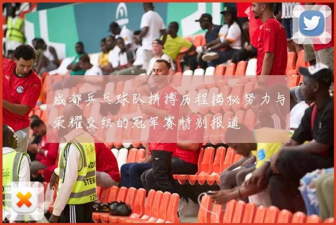 成都乒乓球队拼搏历程揭秘努力与荣耀交织的冠军赛特别报道