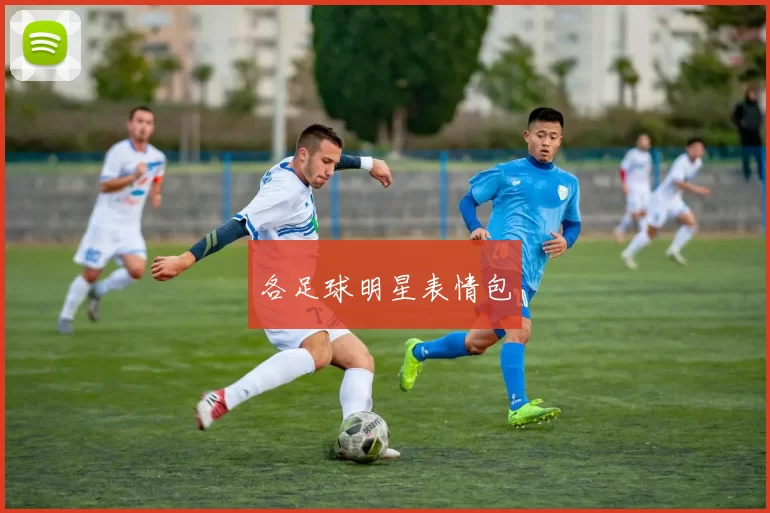 各足球明星表情包